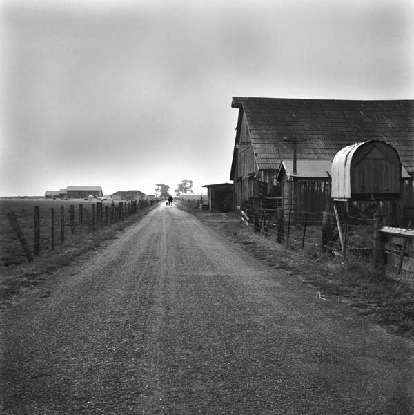 Bay School Rd., Arcata