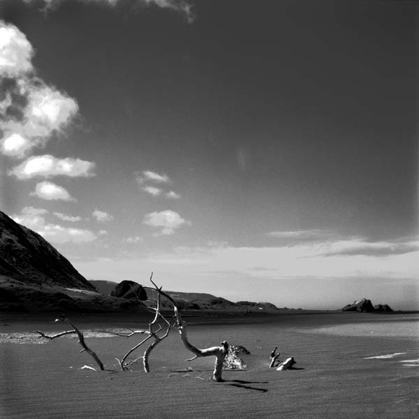 Lost Coast Beach