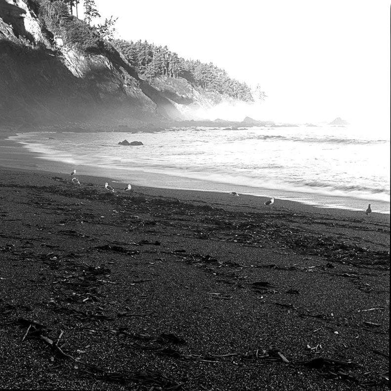 Agate Beach