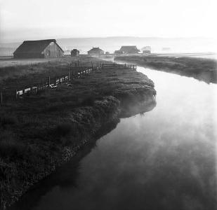 Jackson Ranch Road, Arcata
    
Click on photo for Black & White Photo Gallery