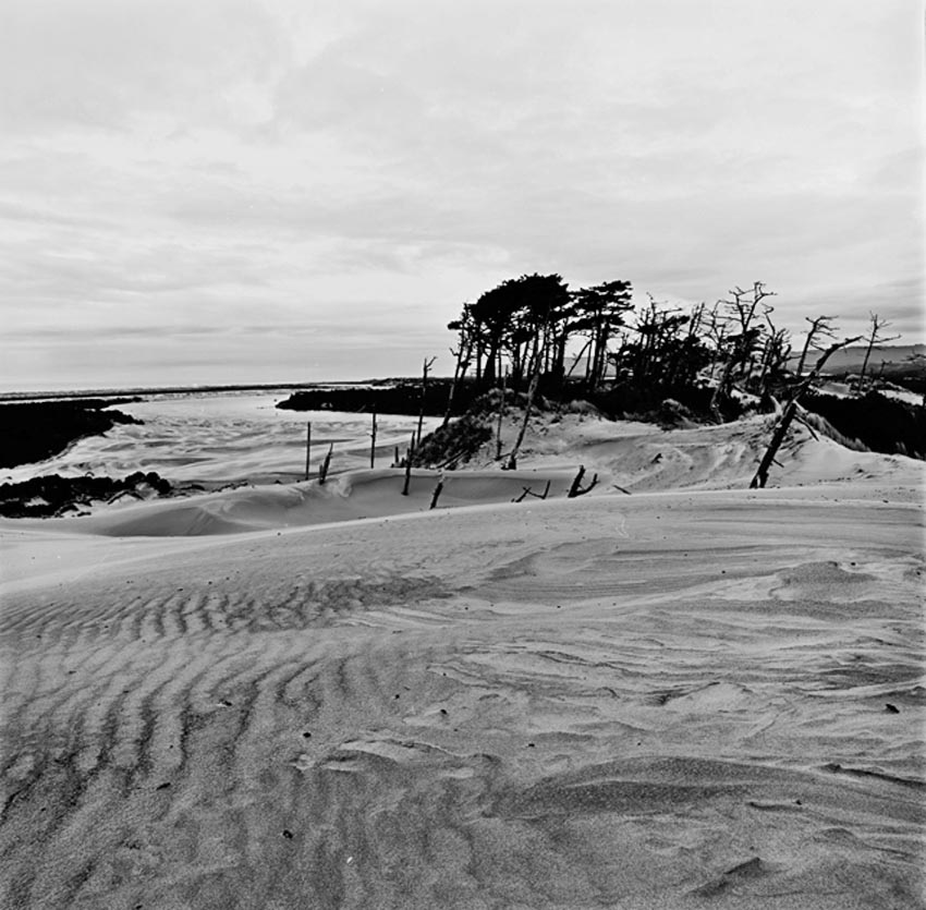 Oregon Dunes
    
Click on photo for Page 4 of B&W Photos