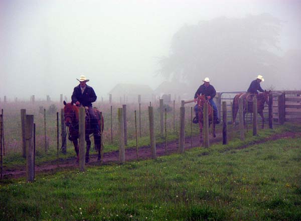 Closing the Gate