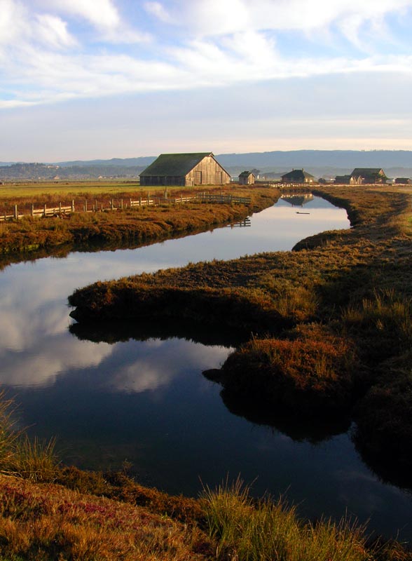 Cochran Ranch