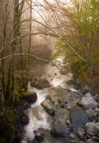 Conley Creek