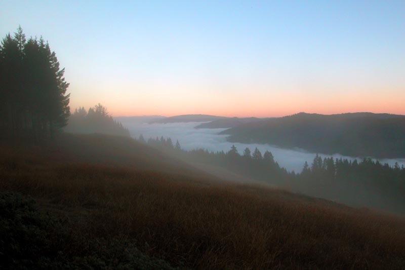 Dawn, Bald Hills