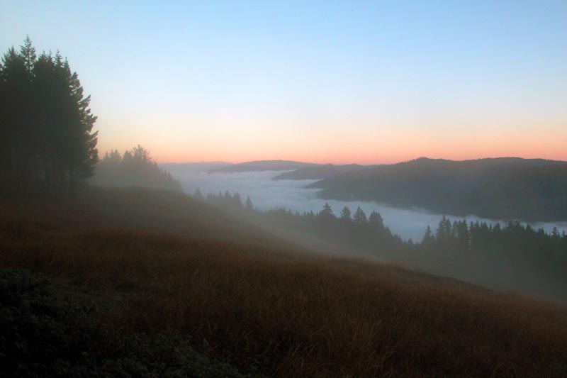 Dawn, Bald Hills