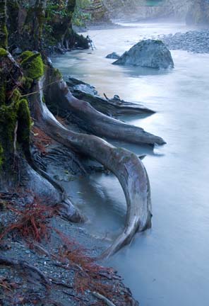 Larabee Creek