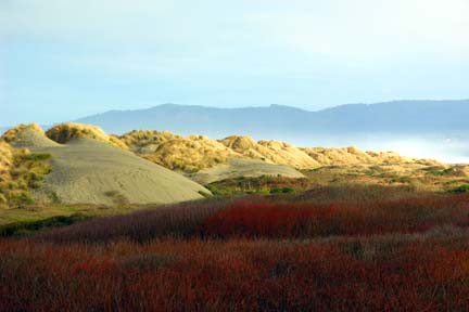 Dunes, Mad River Beach