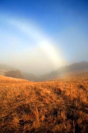 Rainbow in Cloud