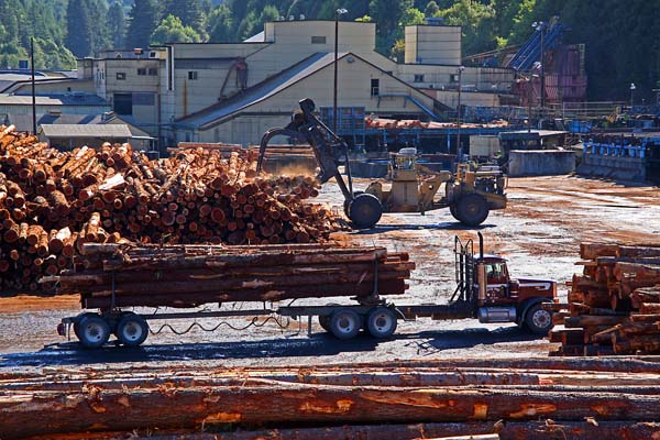 Log Yard