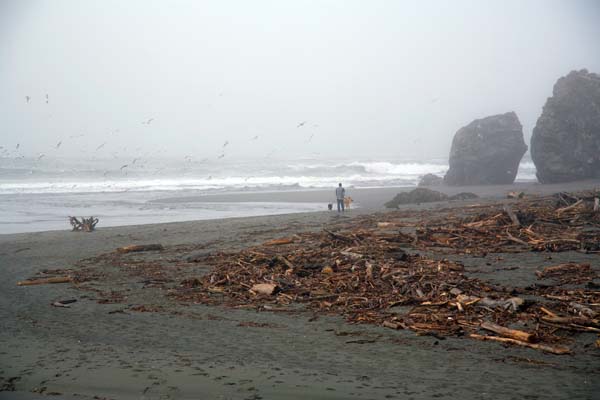 Mouth Of Redwood Creek